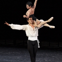 roberto-bolle_006